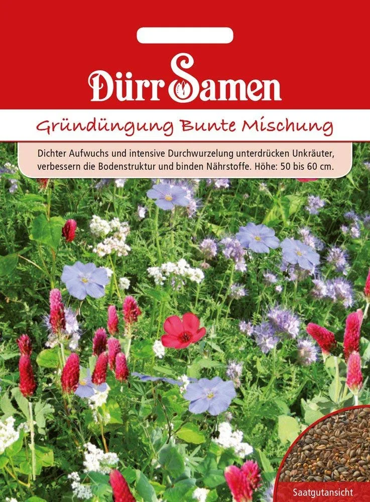 Gründüngung Bunte Mischung 500 g Saatgut