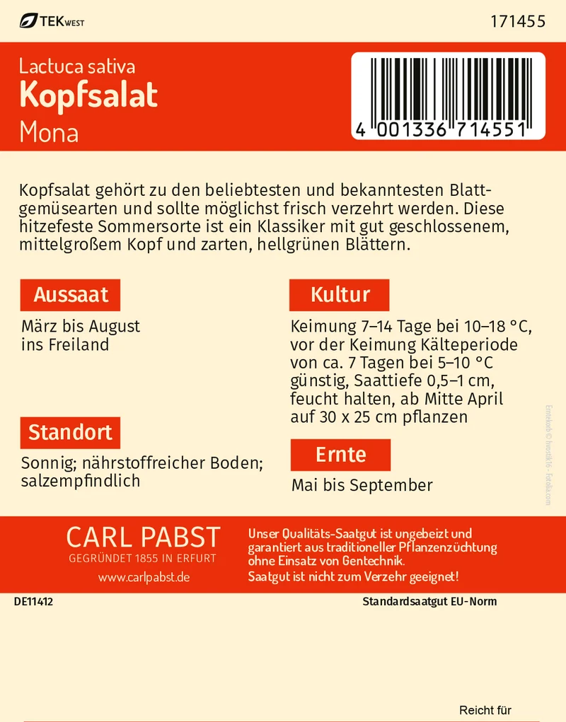 Kopfsalat Mona Saatgut