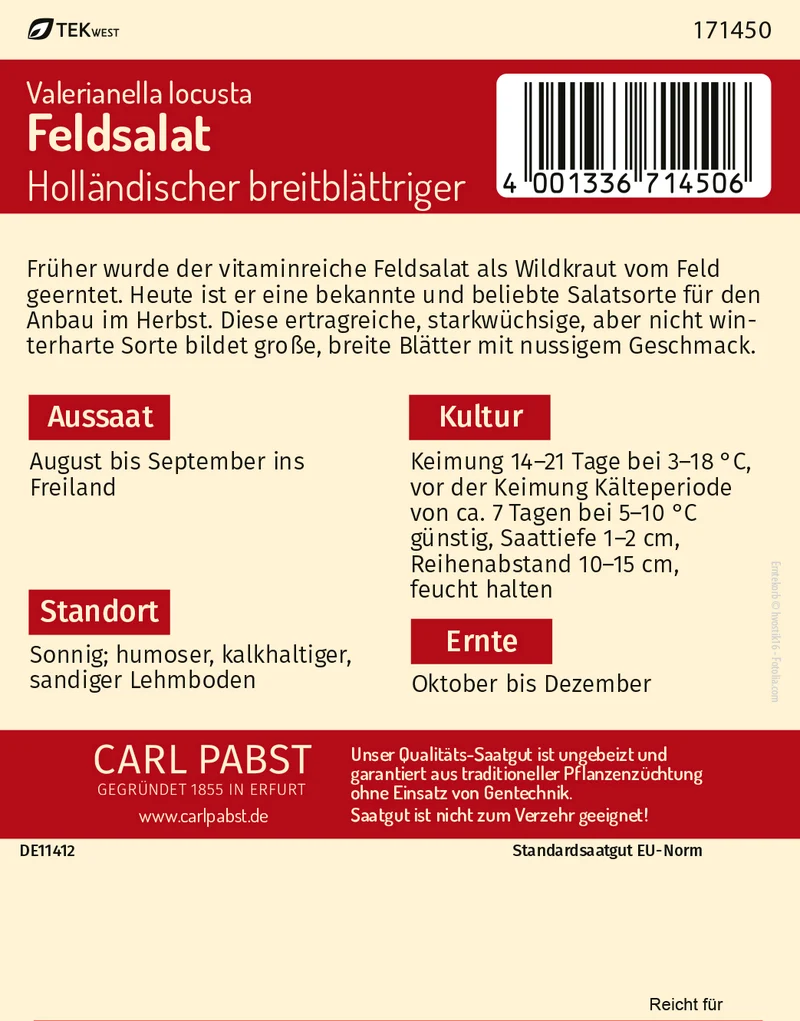 Feldsalat Holländischer breitblättriger Saatgut