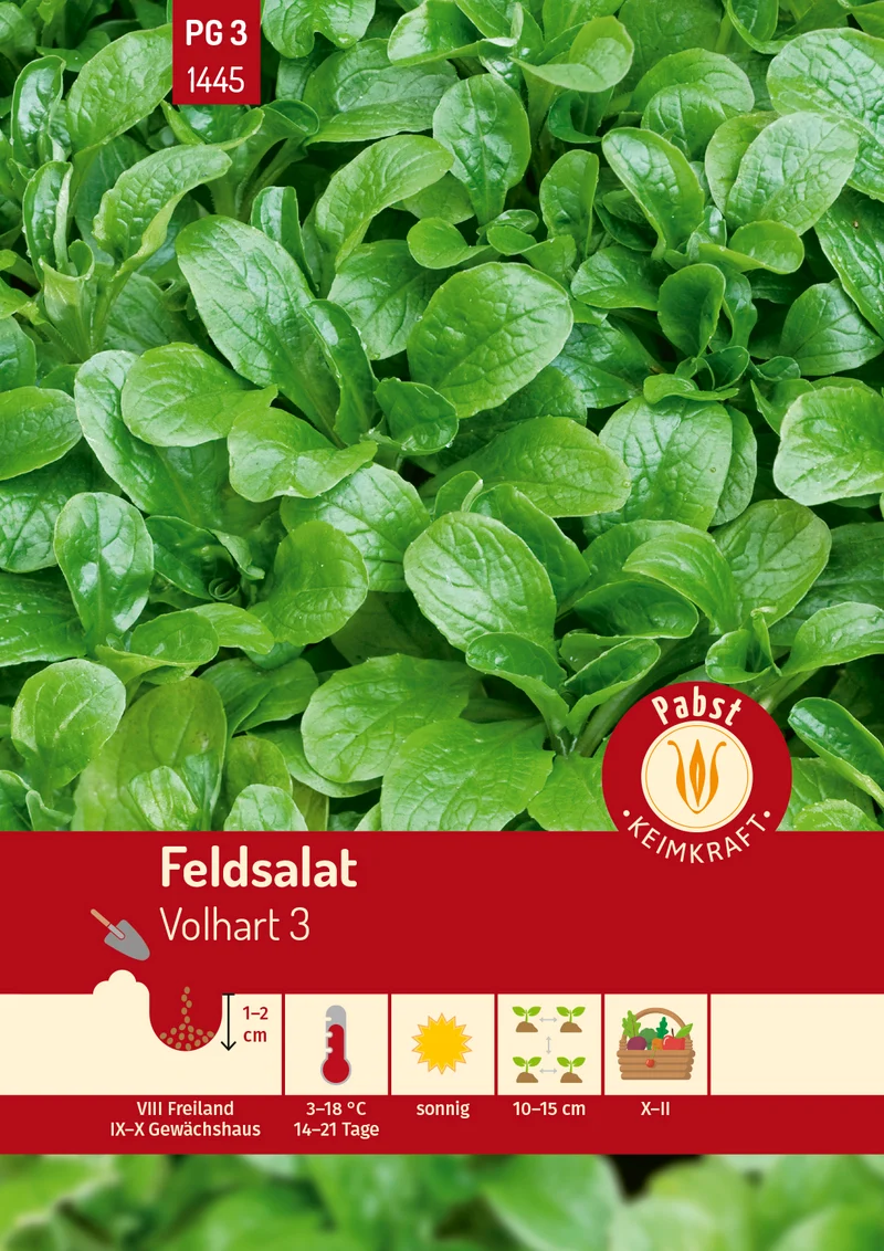 Feldsalat Volhart 3 Saatgut