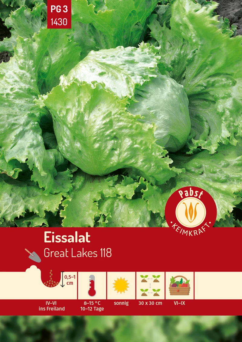 Eissalat Great Lakes 118 Saatgut