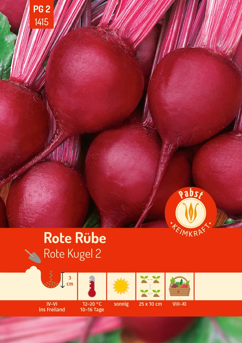 Rote Rübe Rote Kugel 2 Saatgut