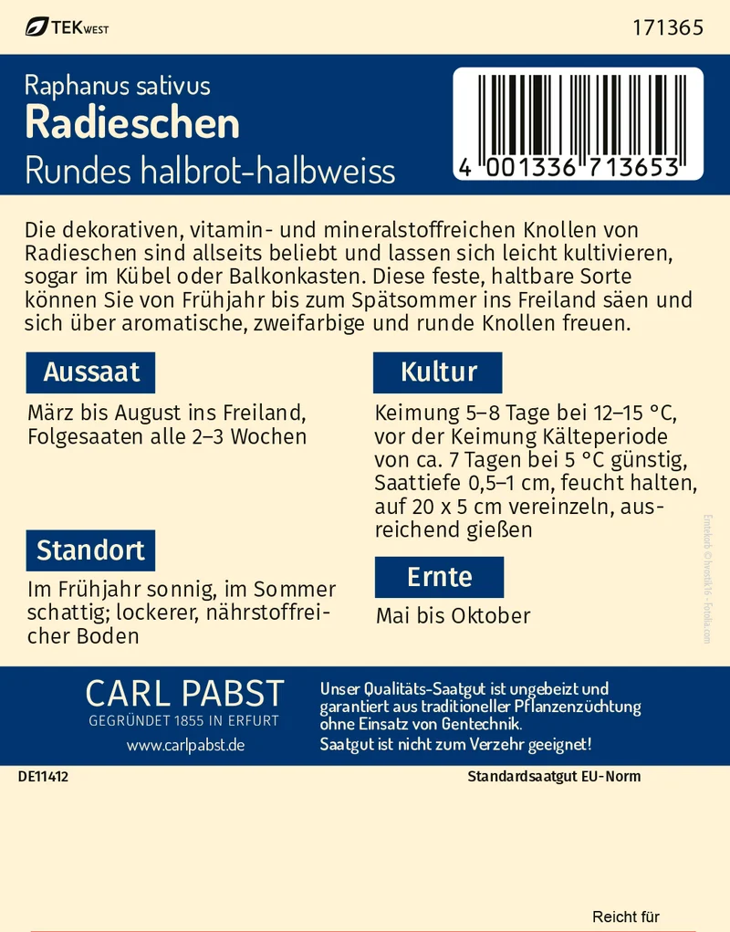 Radieschen Rundes halbrot halbweiss Saatgut