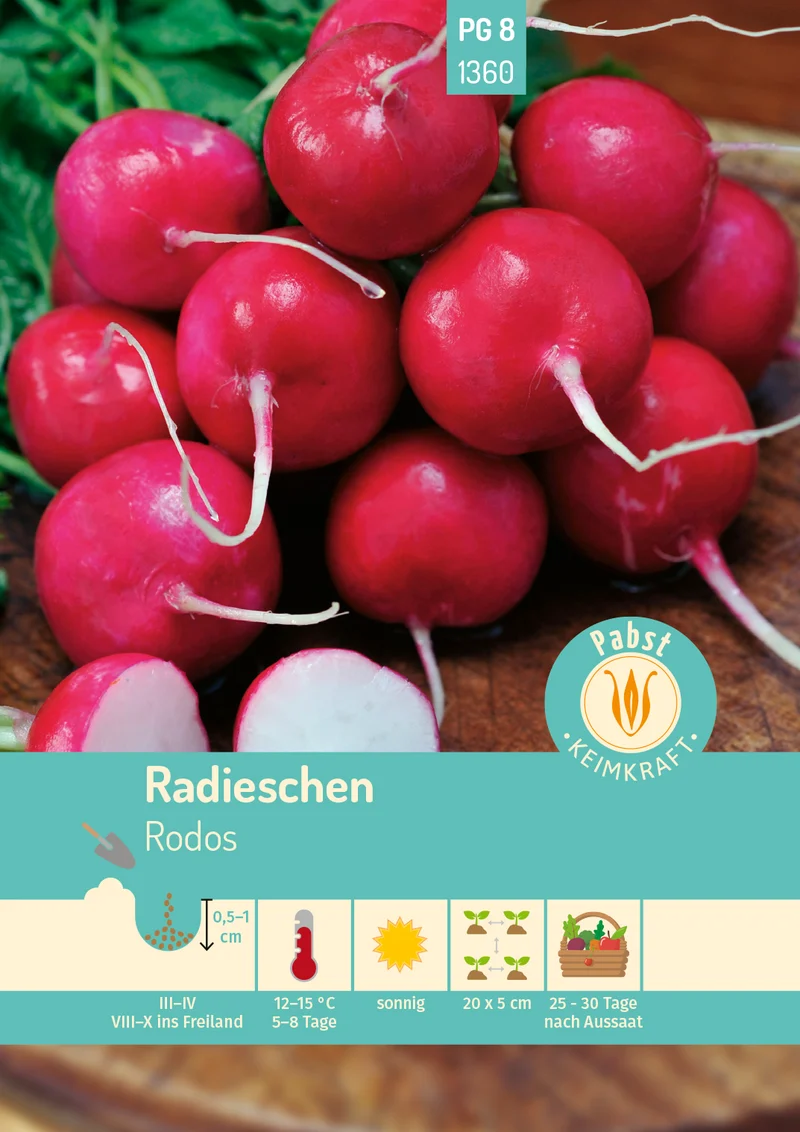Radieschen Rodos Saatgut