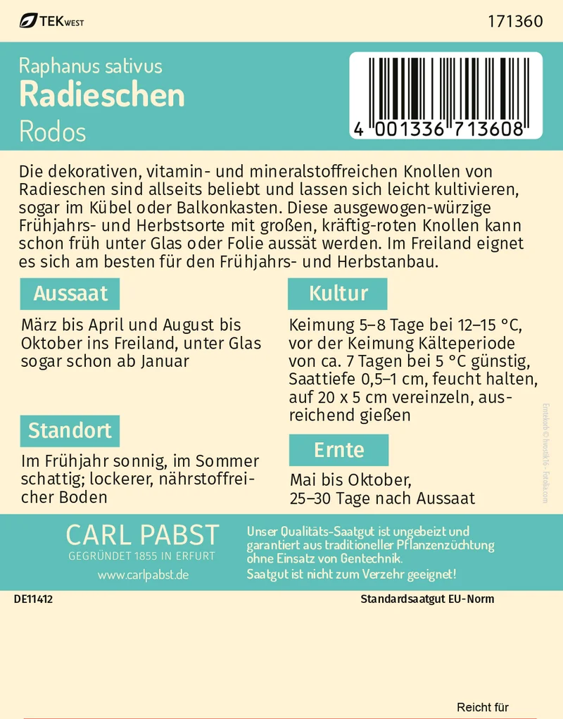 Radieschen Rodos Saatgut