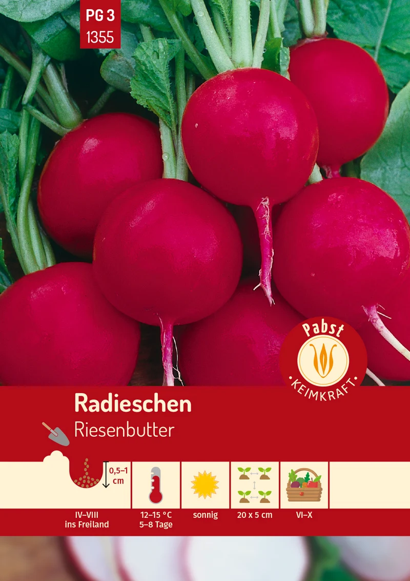 Radieschen Riesenbutter Saatgut