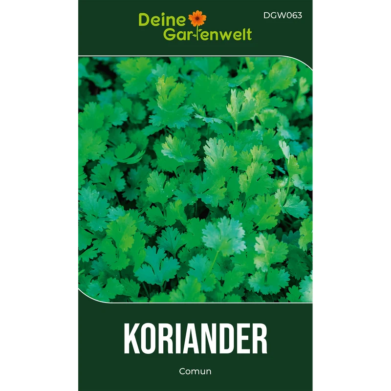 Koriander Comun Saatgut