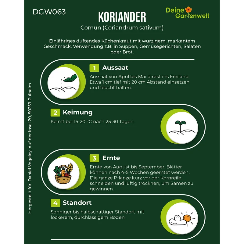 Koriander Comun Saatgut