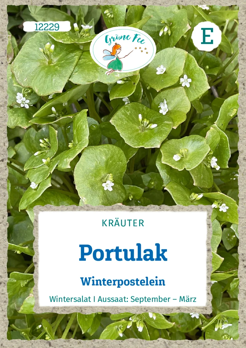 Portulak Winterpostelein Saatgut