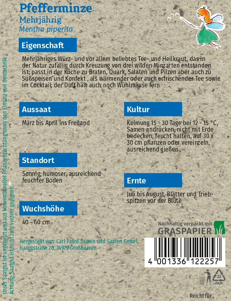 Pfefferminze Saatgut