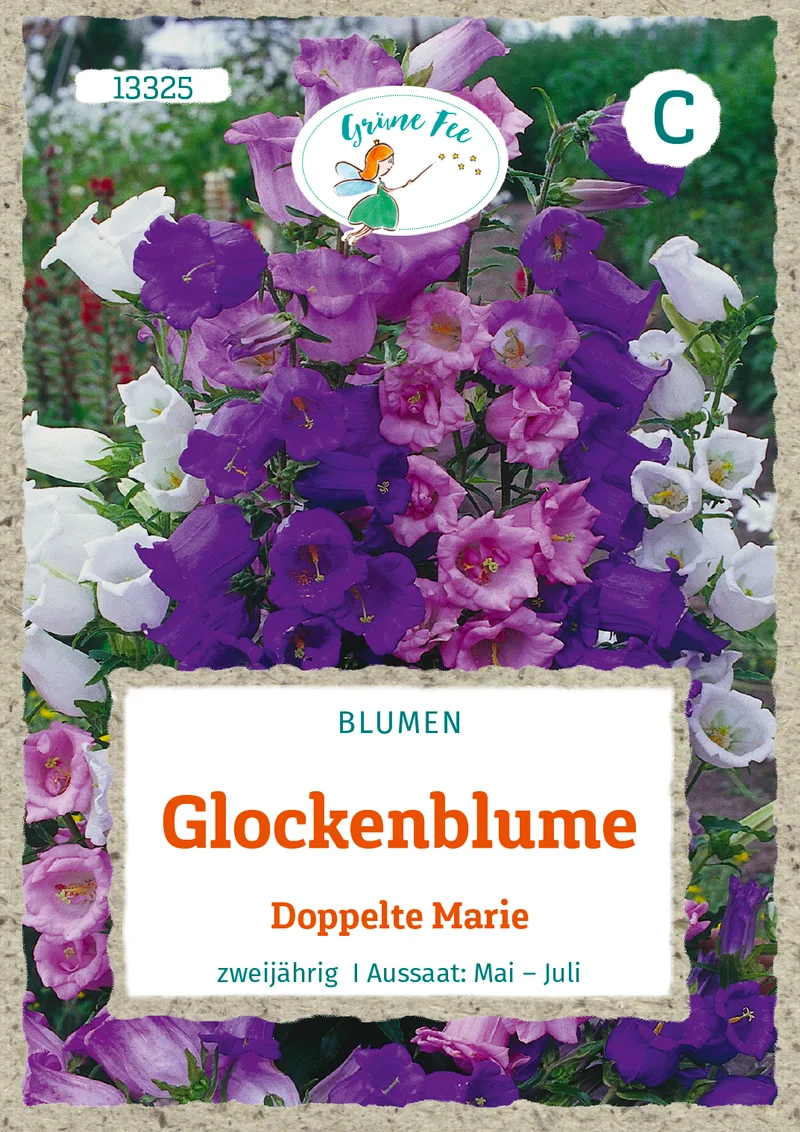 Glockenblume Doppelte Marie Saatgut