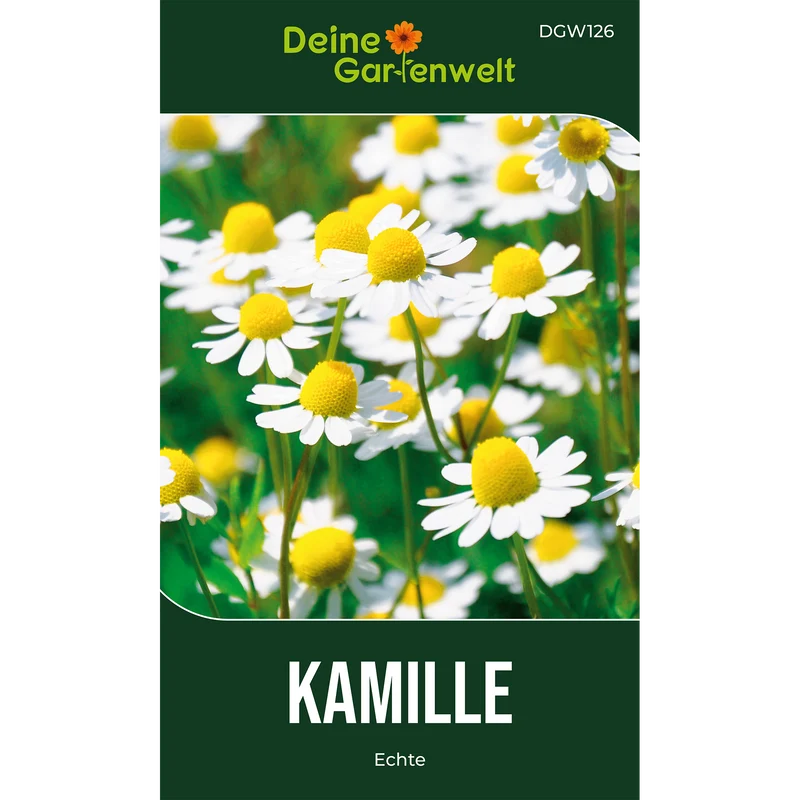 Kamille Saatgut