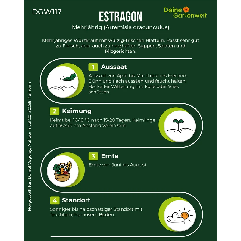 Estragon Saatgut