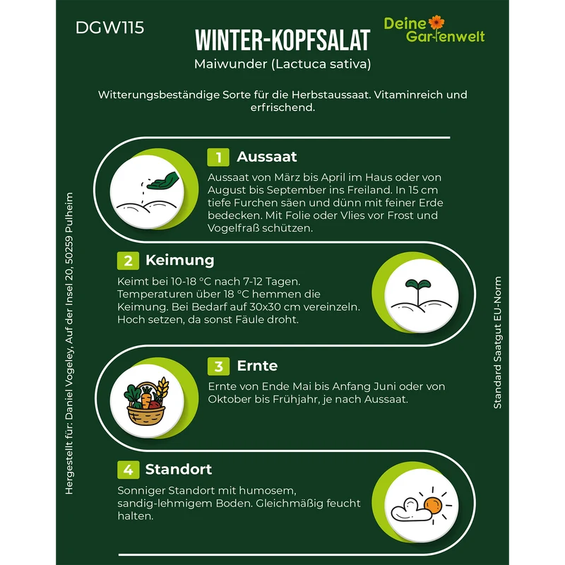 Winter Kopfsalat Maiwunder Saatgut