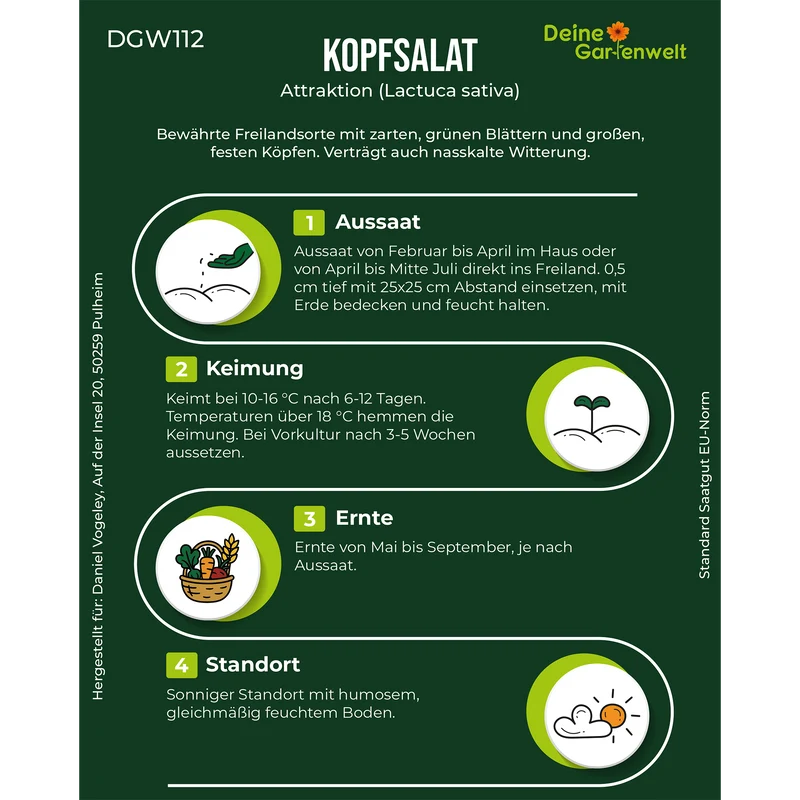 Kopfsalat Attractie Attraktion Saatgut