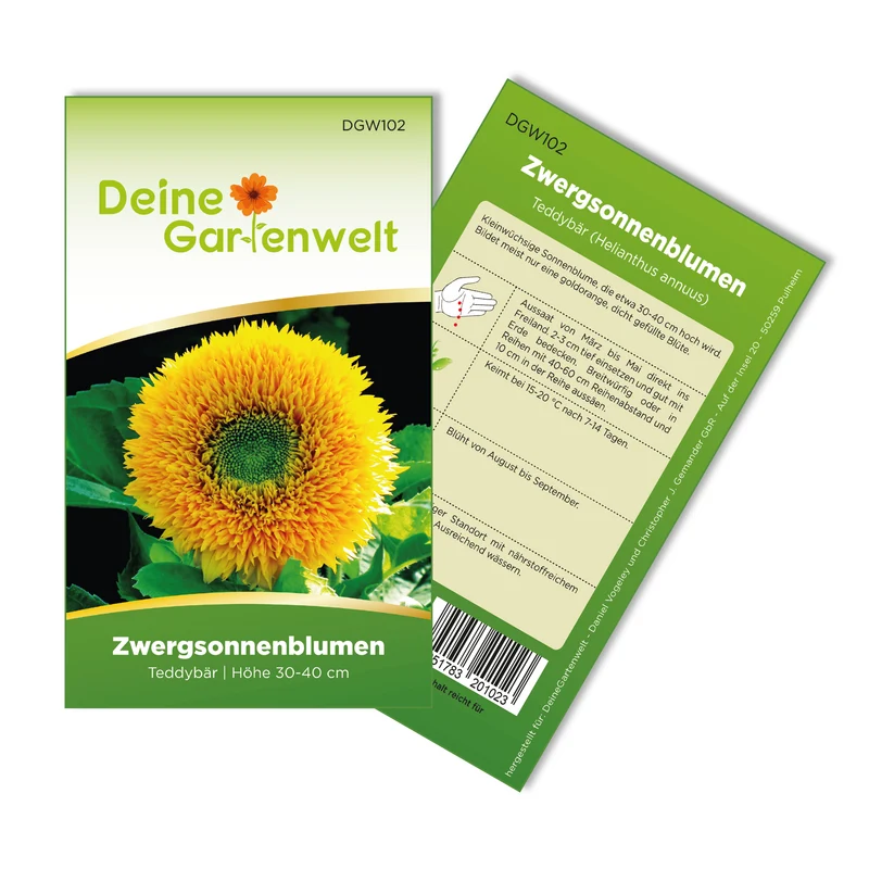 Zwergsonnenblume Teddybär Saatgut