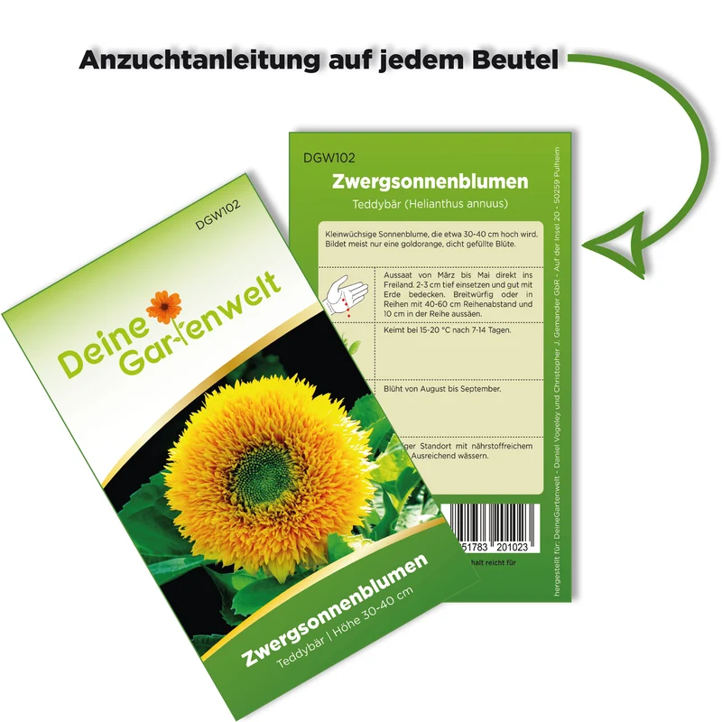 Zwergsonnenblume Teddybär Saatgut