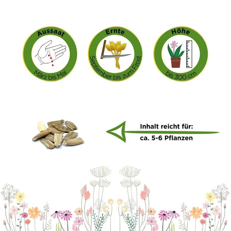 Flaschenkürbis Mischung Saatgut
