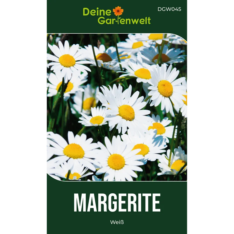 Margerite weiß Saatgut