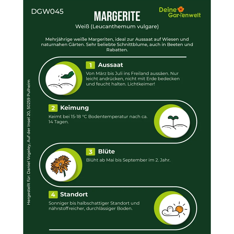 Margerite weiß Saatgut