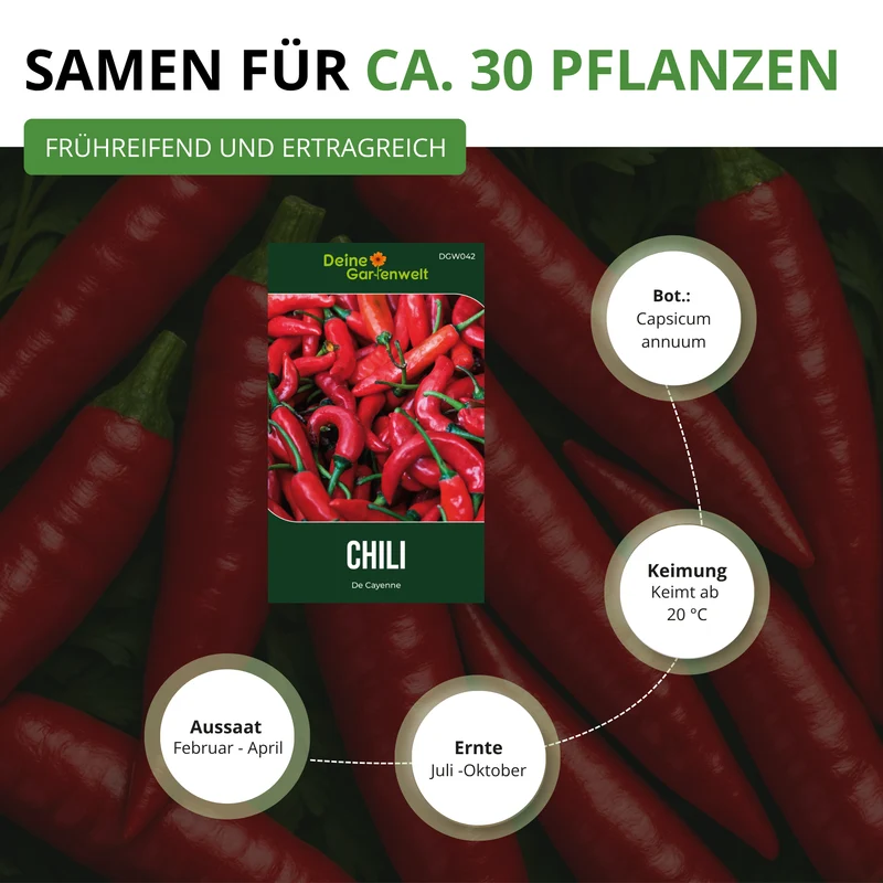 Chili De Cayenne Saatgut