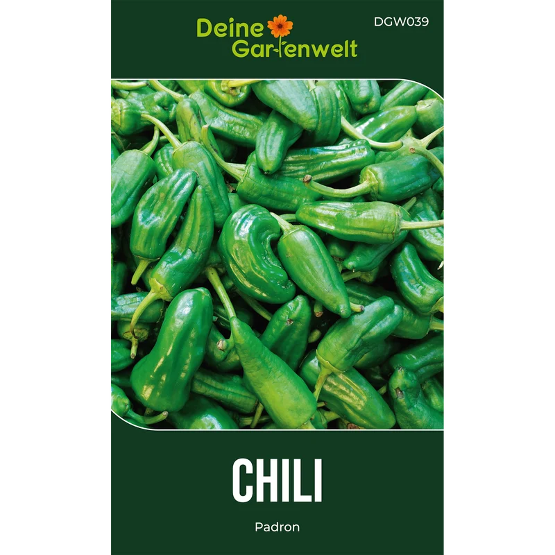 Chili Padron Saatgut
