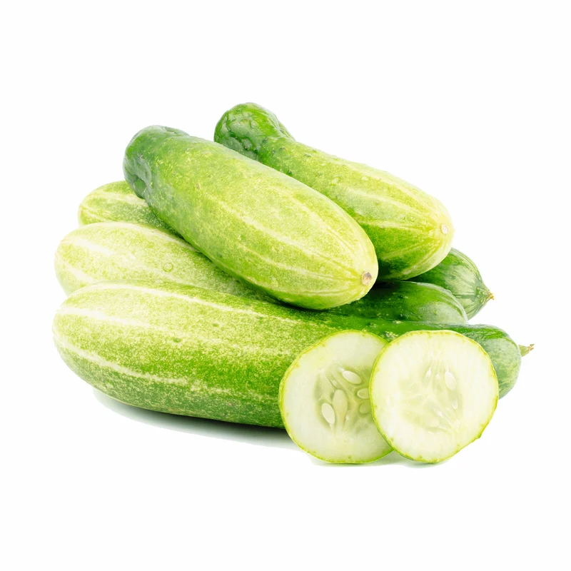 Melonengurke Carosello Barese Saatgut