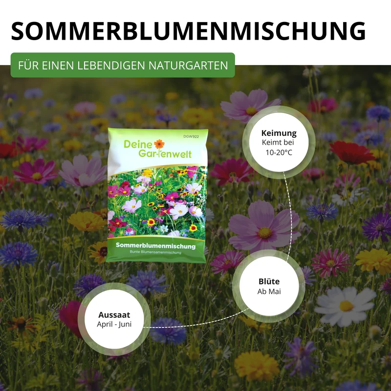 Sommerblumenwiese Blumenmischung 100 g Saatgut