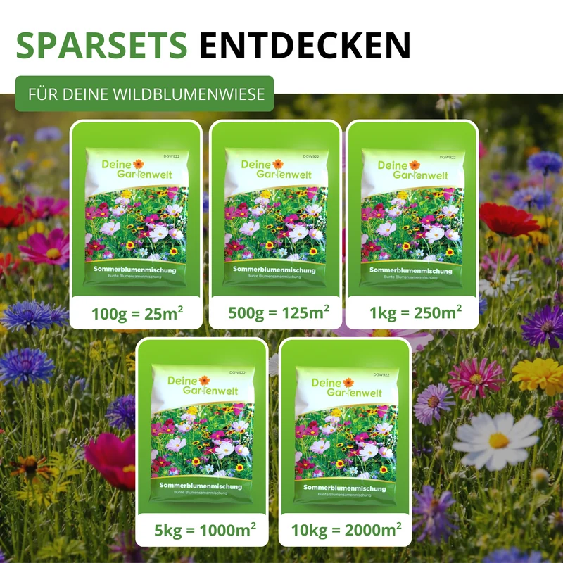 Sommerblumenwiese Blumenmischung 100 g Saatgut