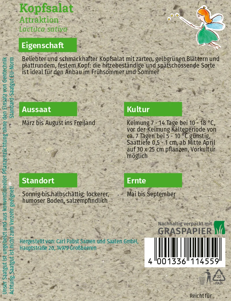 Kopfsalat Attraktion Saatgut
