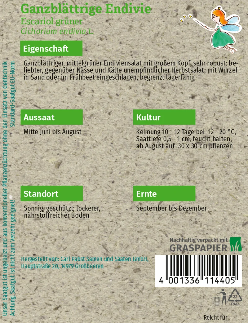 Ganzblättrige Endivie Escariol grüner Saatgut