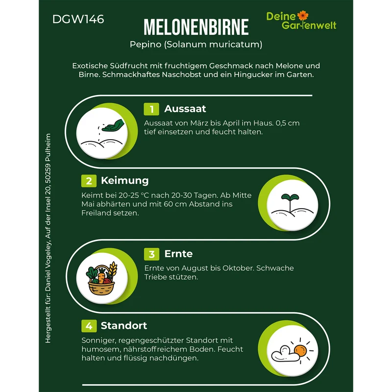 Melonenbirne Pepino Saatgut