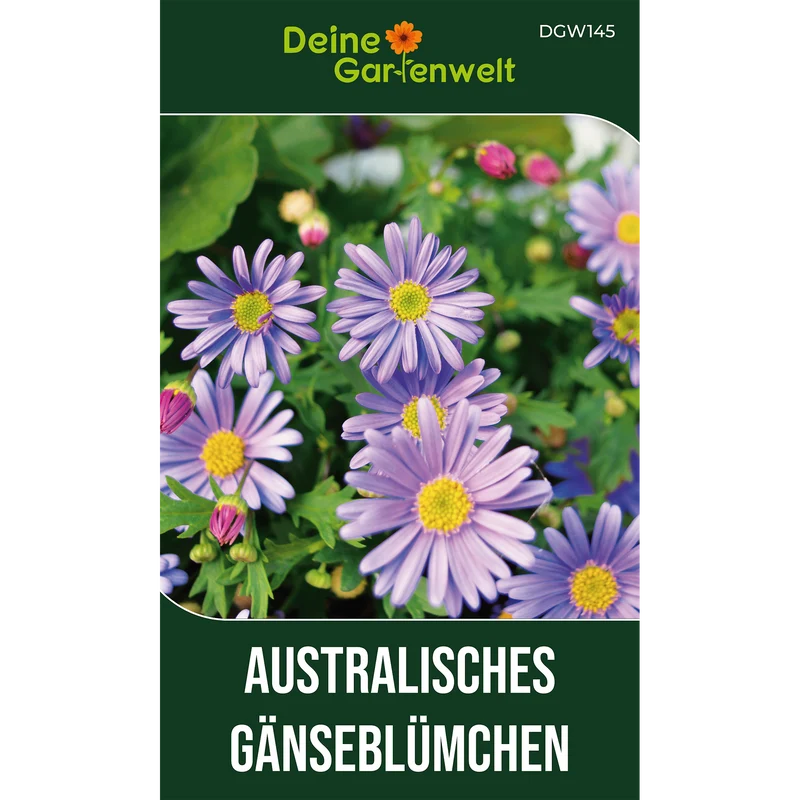 Australisches Gänseblümchen Blau Saatgut