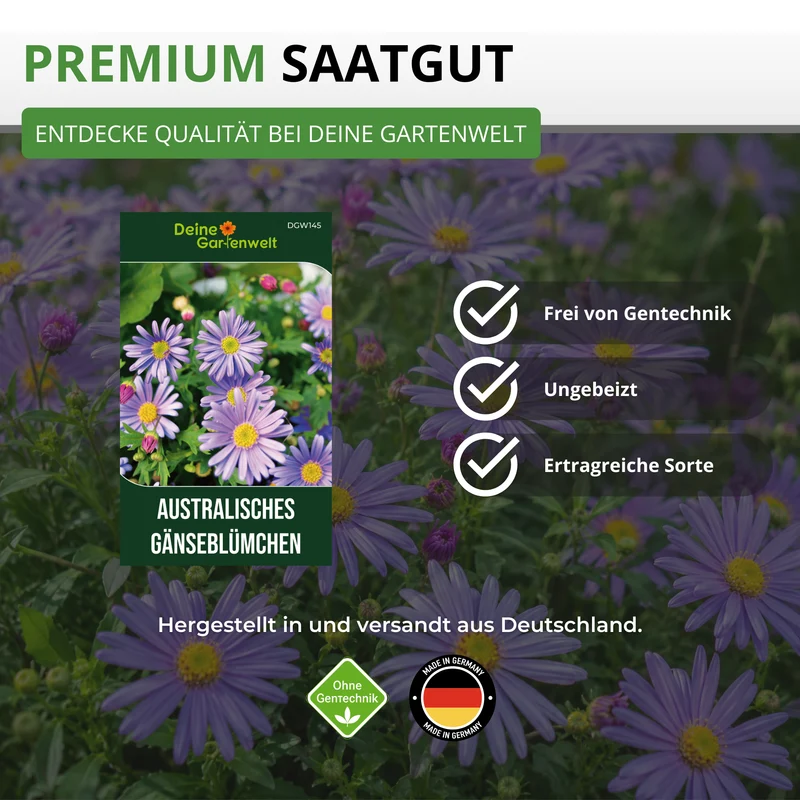 Australisches Gänseblümchen Blau Saatgut