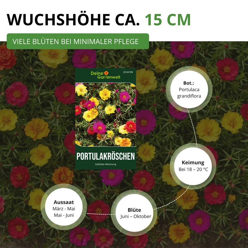 Portulakröschen Gefüllte Mischung Saatgut