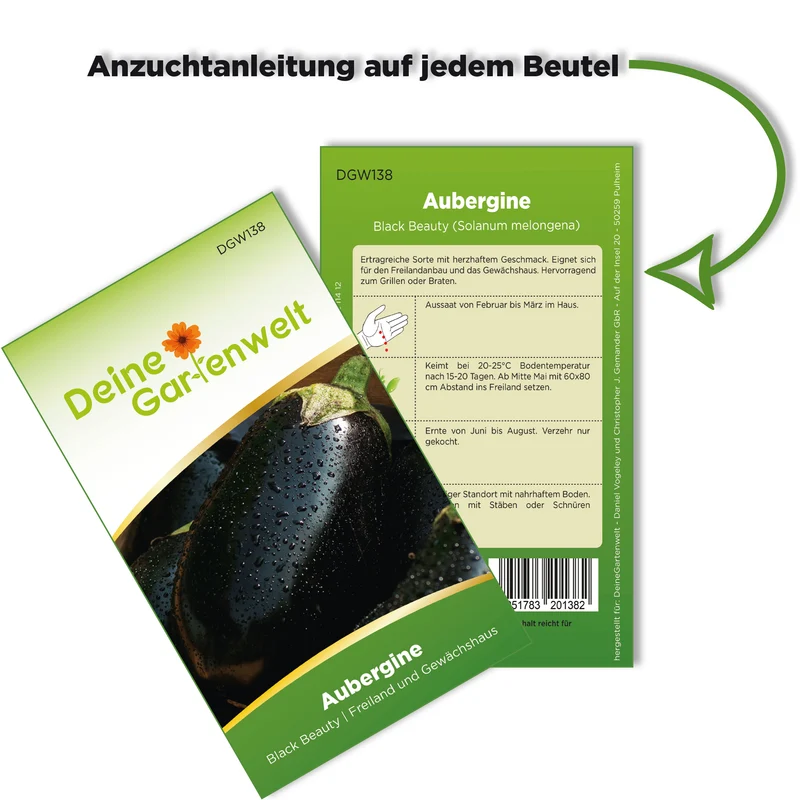 Aubergine Black Beauty Saatgut