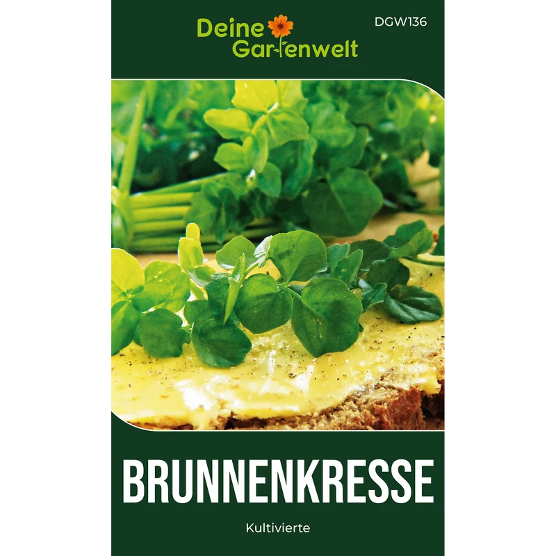 Brunnenkresse Kultivierte Saatgut