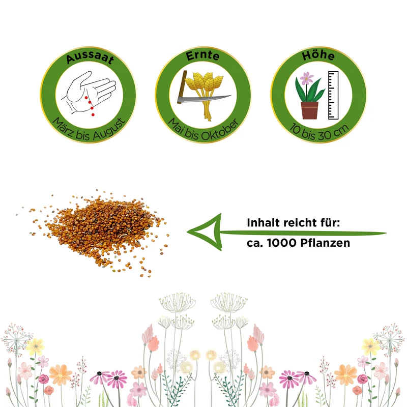Brunnenkresse Kultivierte Saatgut