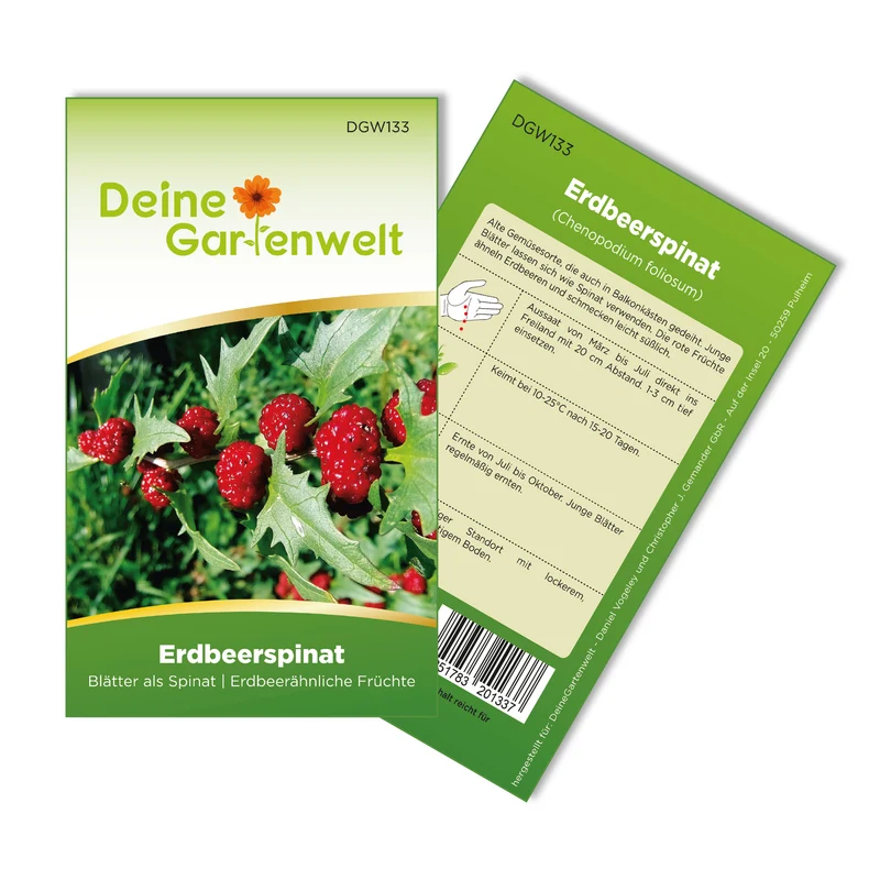 Erdbeerspinat Strawberry Spinach Saatgut
