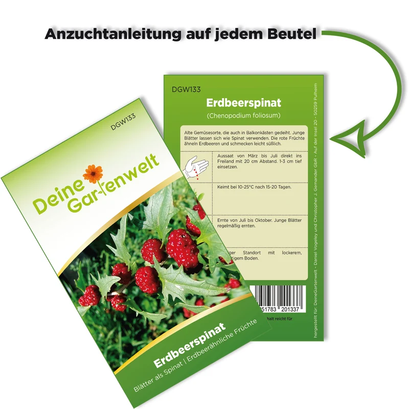 Erdbeerspinat Strawberry Spinach Saatgut