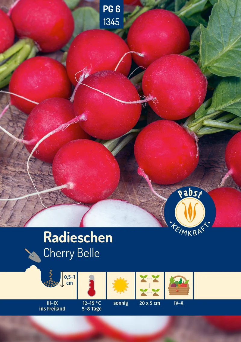 Radieschen Cherry Belle Saatgut