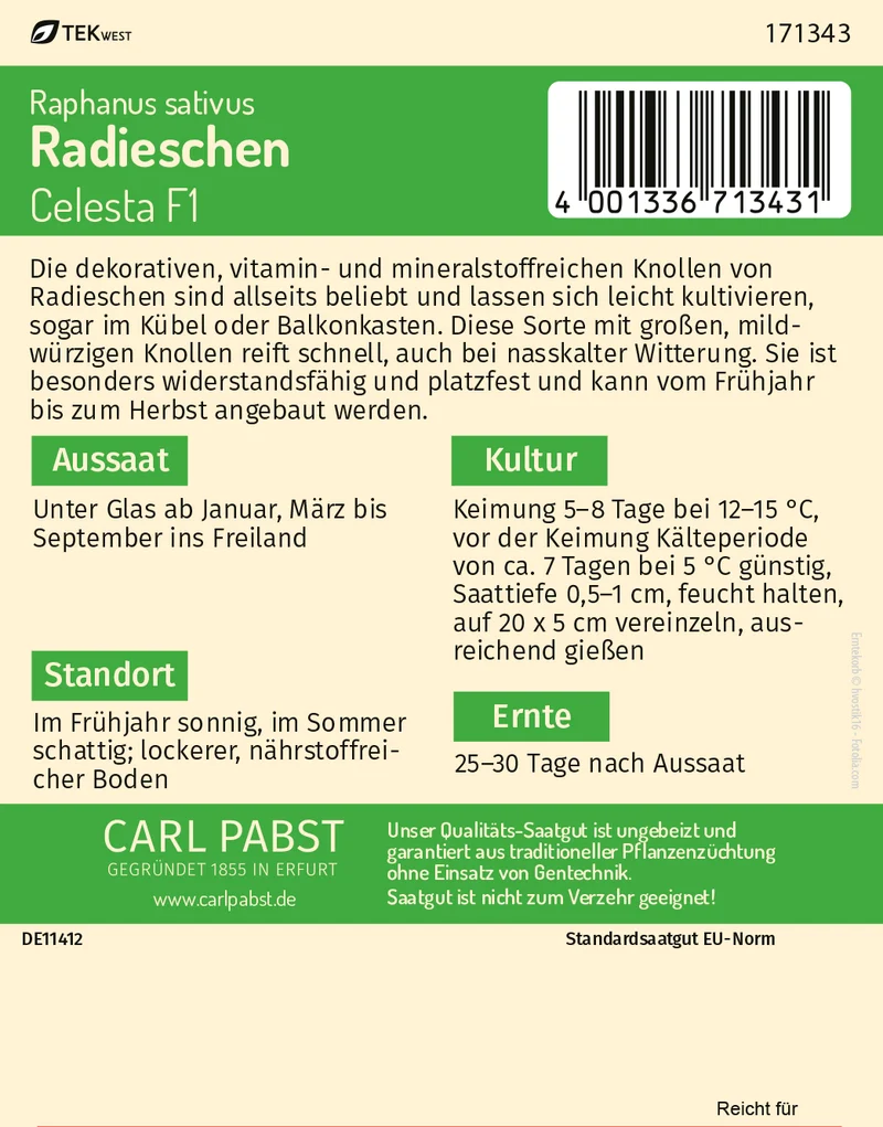 Radieschen Celesta F1 Saatgut