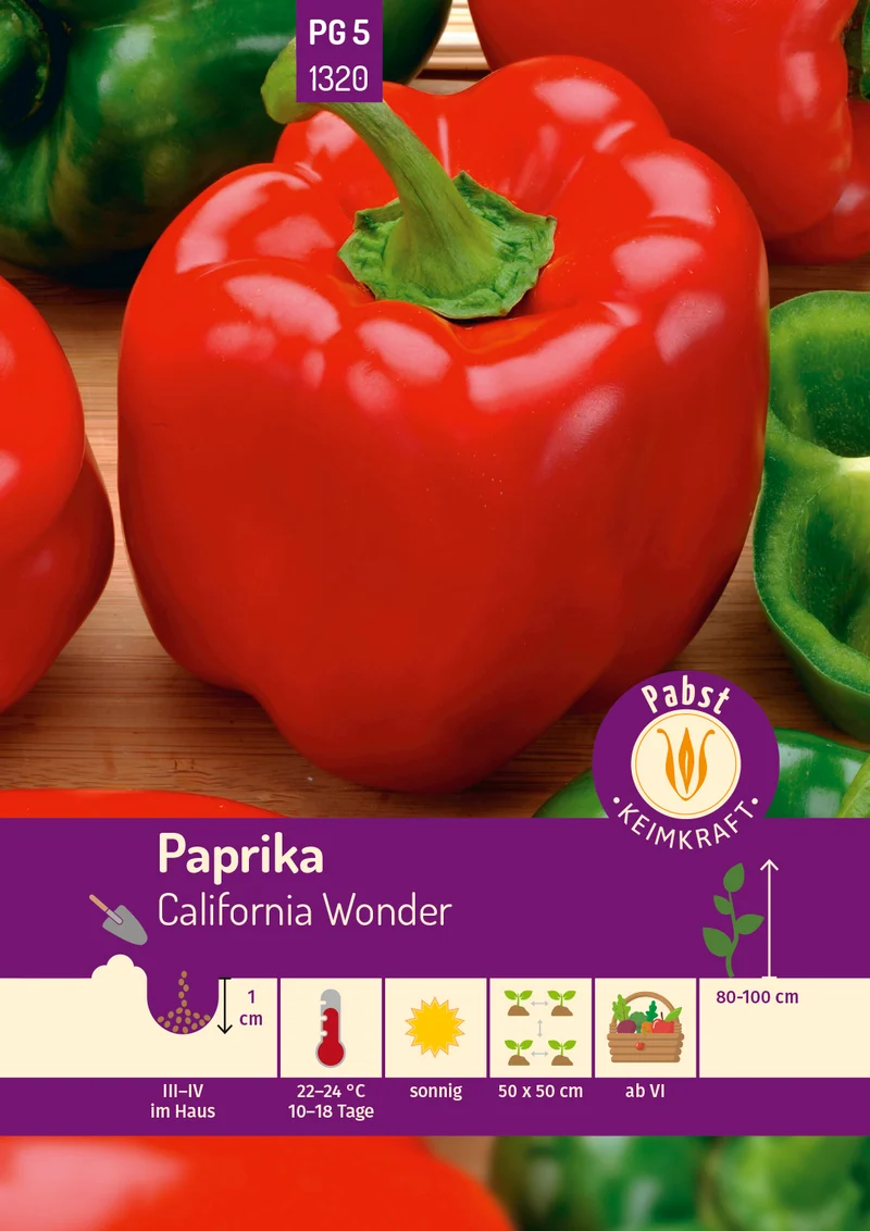 Paprika California Wonder Saatgut