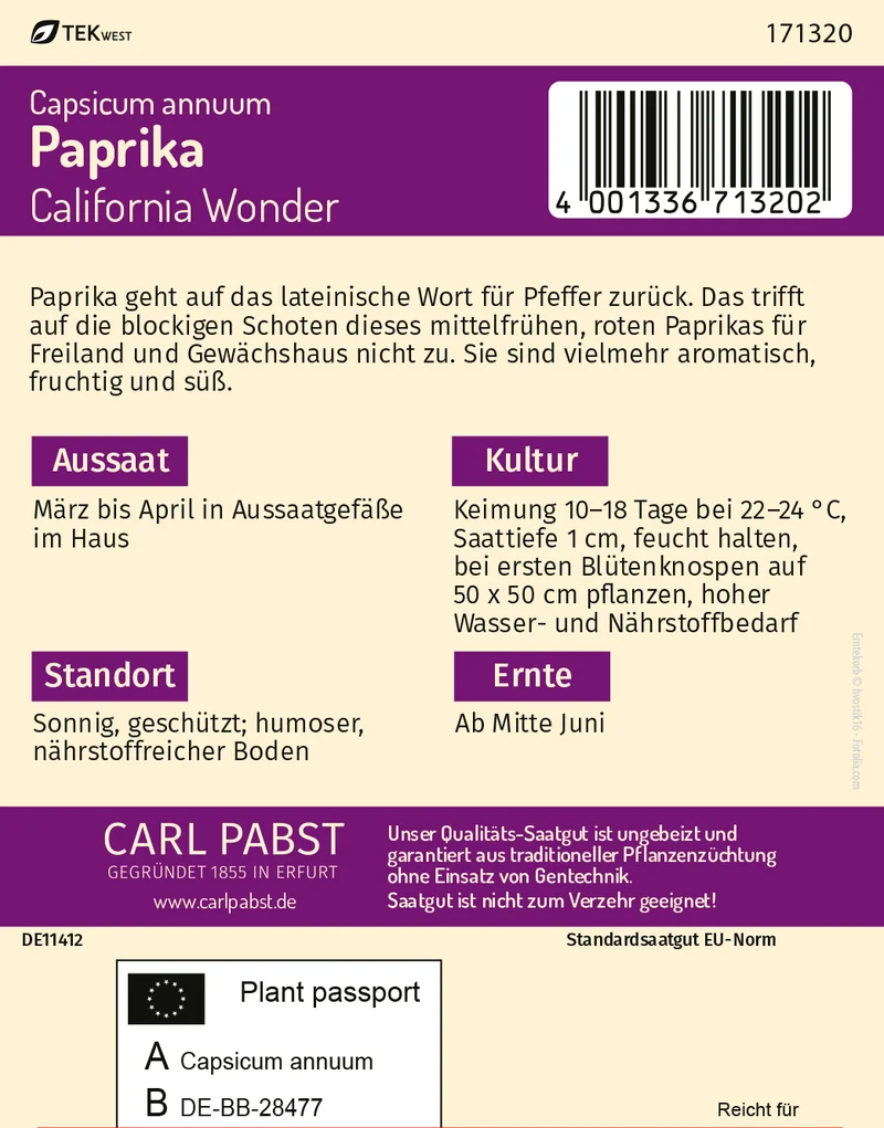 Paprika California Wonder Saatgut