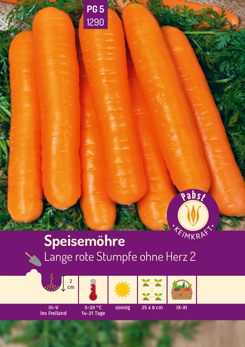Speisemöhre Lange rote Stumpfe ohne Herz 2 Saatgut