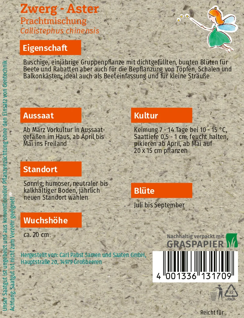 Zwerg Aster Prachtmischung Saatgut