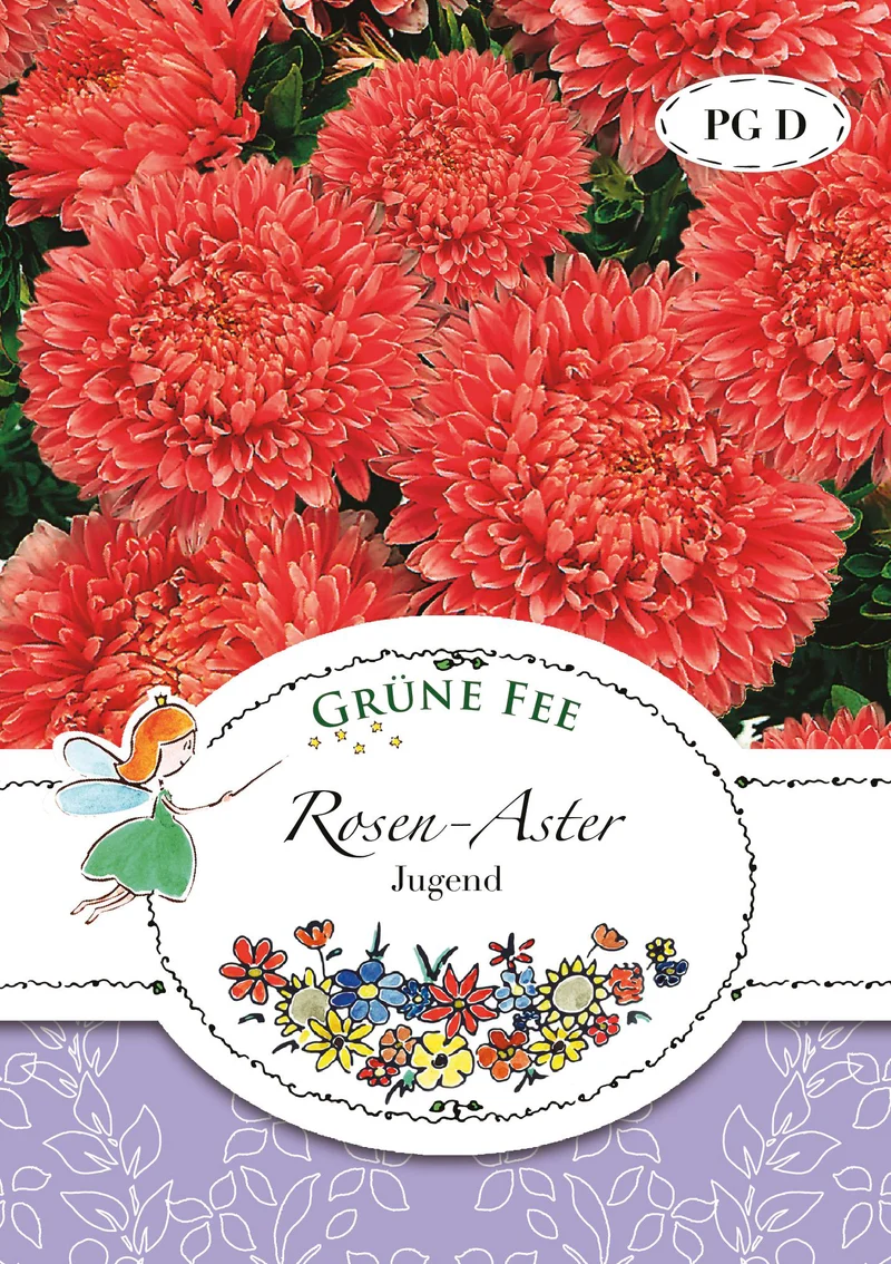 Rosen Aster Jugend Saatgut
