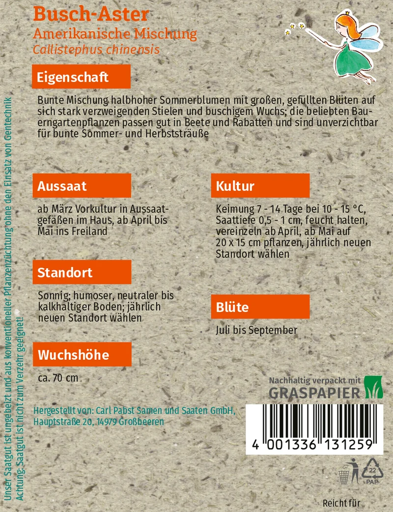 Busch Aster Amerikanische Mischung Saatgut