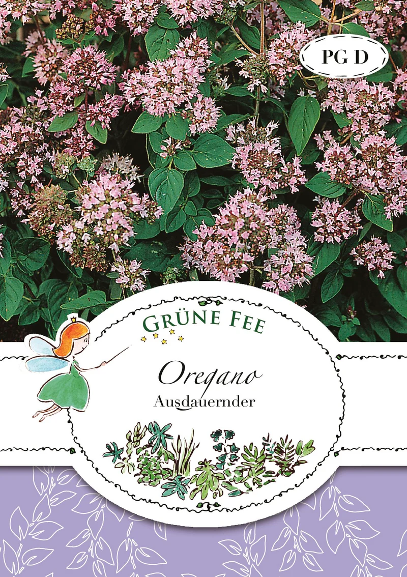 Oregano Saatgut