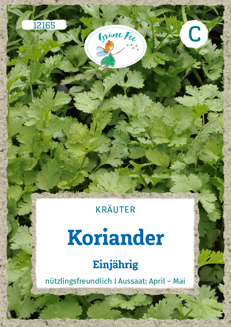 Koriander Saatgut